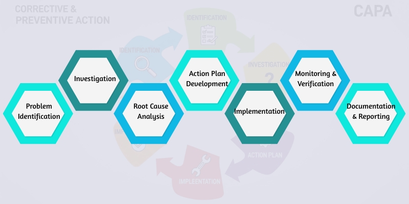 The CAPA Process_ Step-by-Step Guide